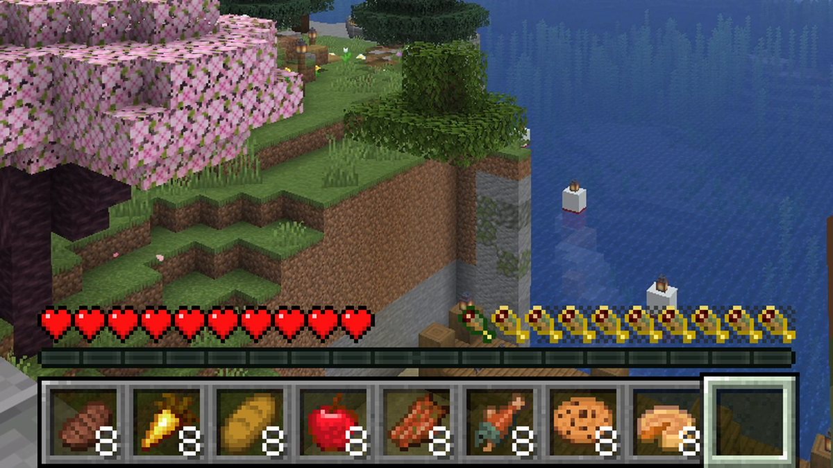 Minecraft HUD with a hunger bar and a dark bar behind it