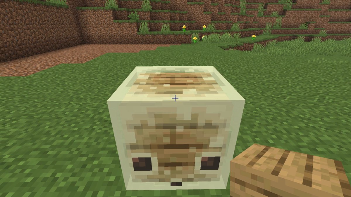 A pale cube mob on grass, the player holding oak planks