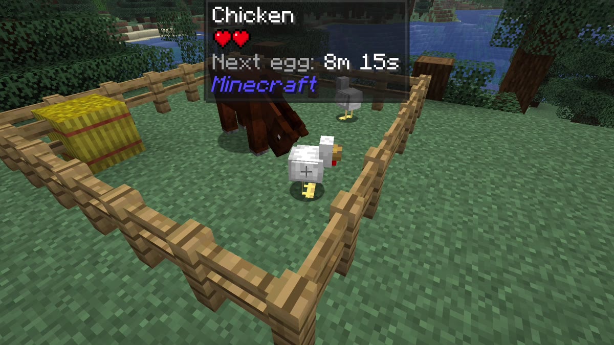 Minecraft screenshot of a chicken in a paddock with the Jade panel showing Next egg 8m 15s