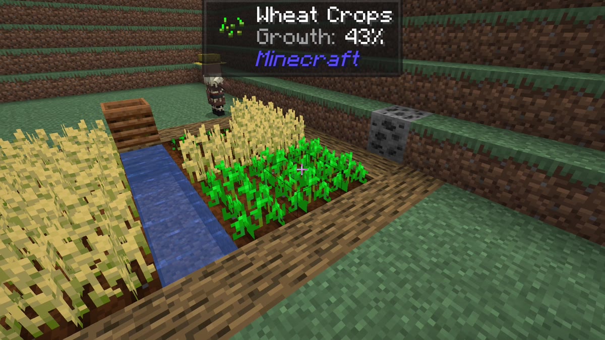 Minecraft screenshot of a wheat farm with the Jade panel showing Wheat Crops, Growth 43%